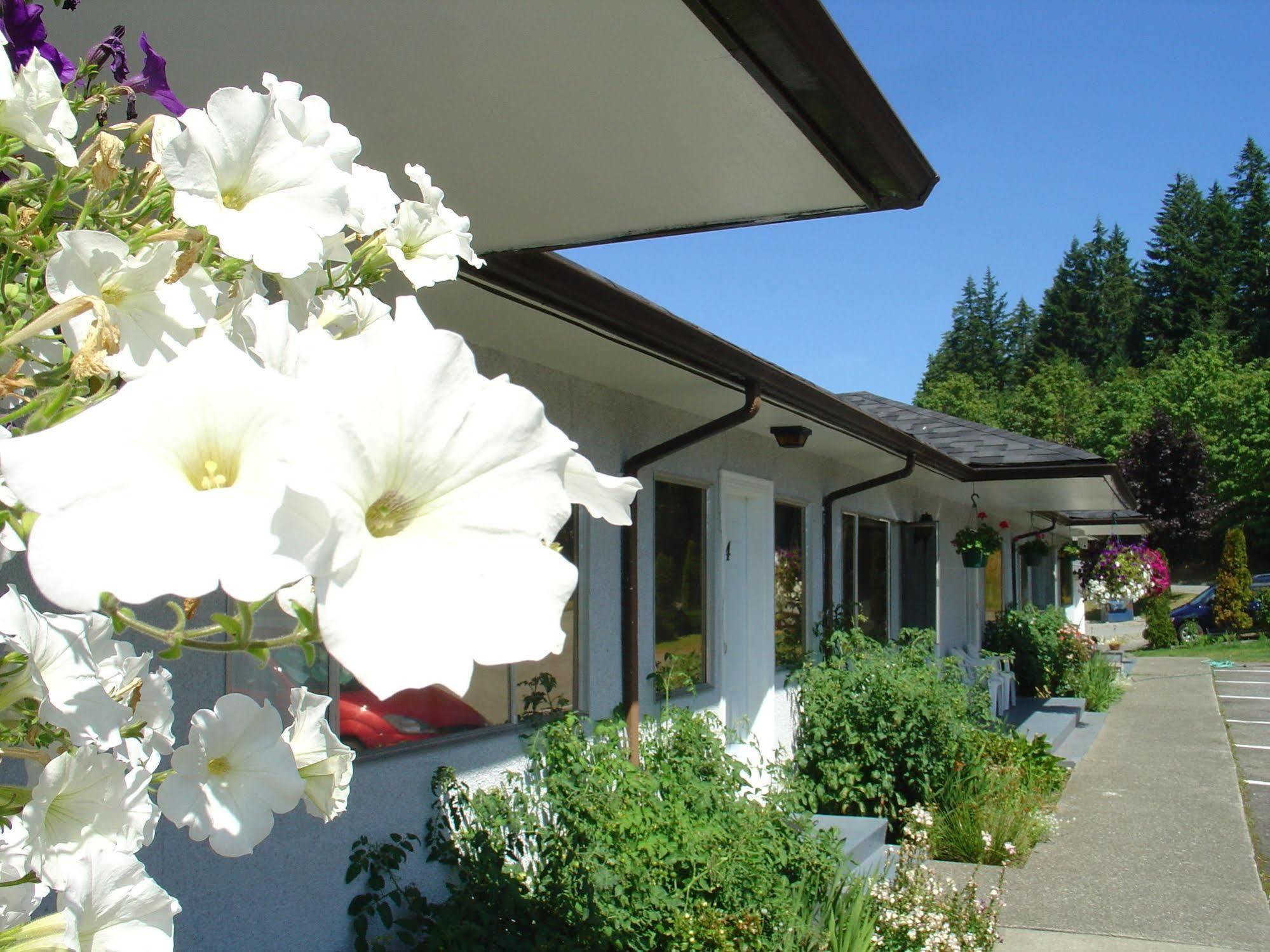 Sunset Motel Port Alberni Eksteriør billede